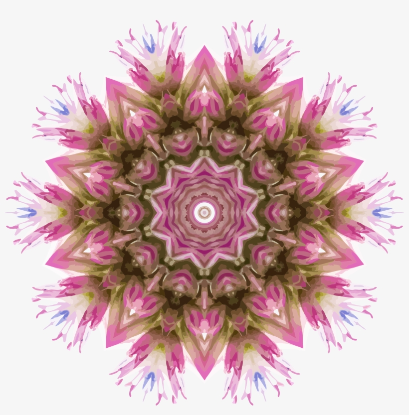 This Free Icons Png Design Of Wildflower Kaleidoscope, transparent png #1905693