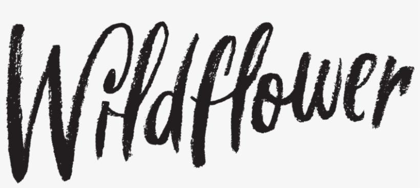 Wildflower, transparent png #1906230