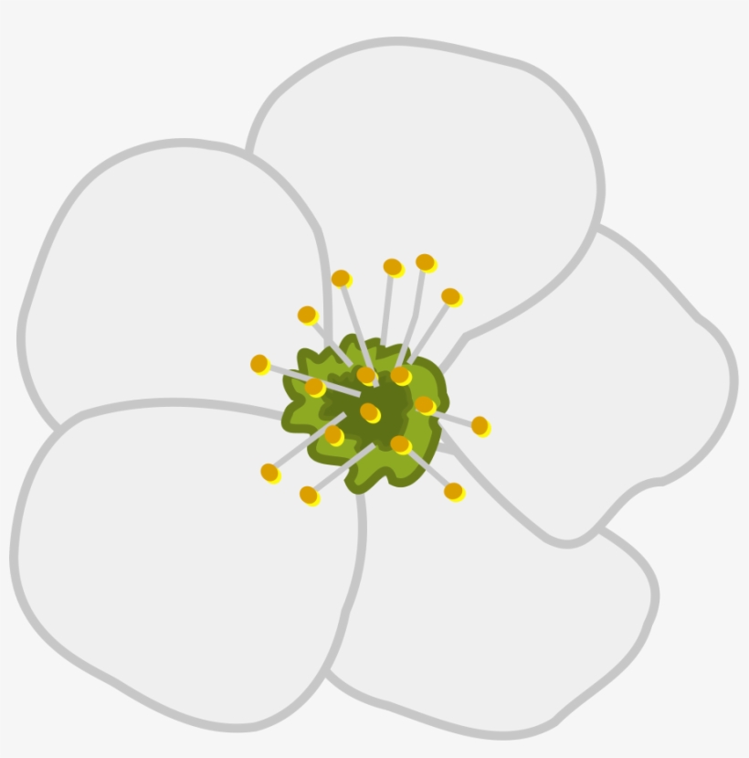 How To Set Use Cherry Flower Svg Vector, transparent png #1906333