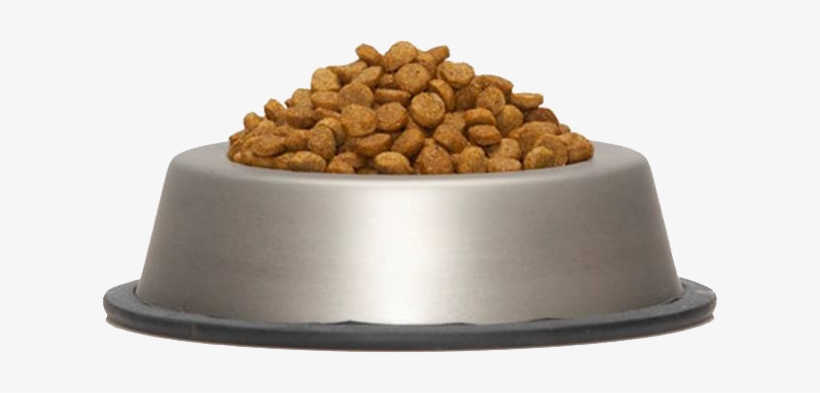 Dog Food Bowl Png - Dog Food Bowl Transparent - Free Transparent PNG  Download - PNGkey