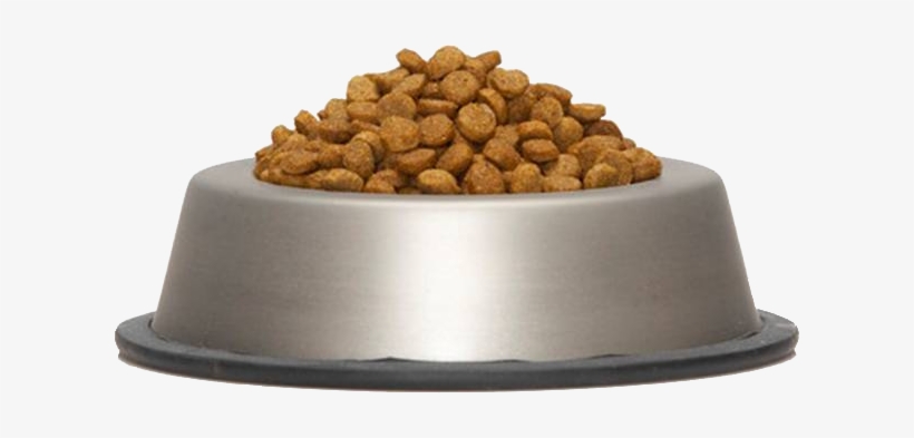 Dog Food Bowl Png - Dog Food Bowl Transparent, transparent png #1906779