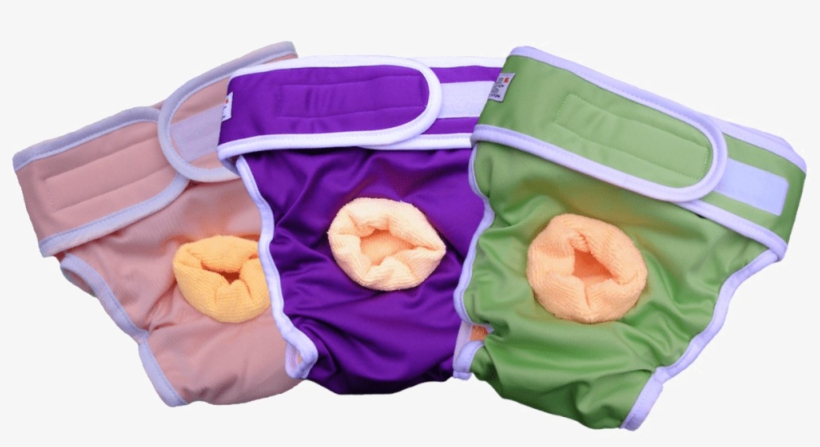 Diaper Png Picture - Incontinence Pads For Dogs, transparent png #1906926