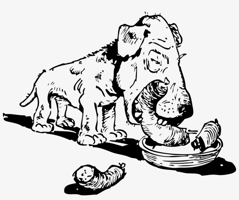 Dog Dog Bowl Dog Food - Dog Eating Cat Cartoon, transparent png #1907028