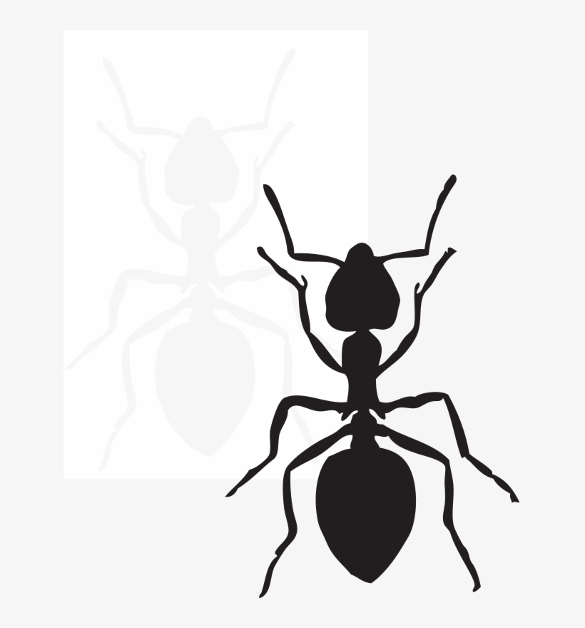 Blindfold - Black Ant Clip Art, transparent png #1907096