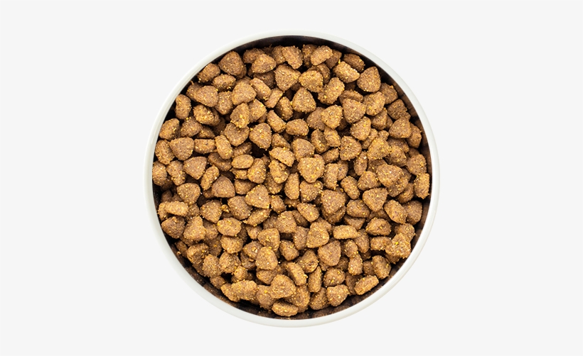 Dry Pet Food In A Bowl - Pet Food, transparent png #1907247