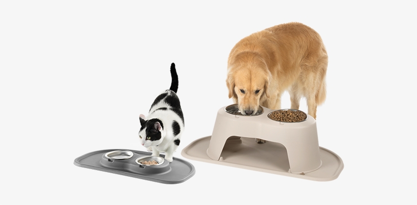 The High Feeding System - Dog, transparent png #1907250