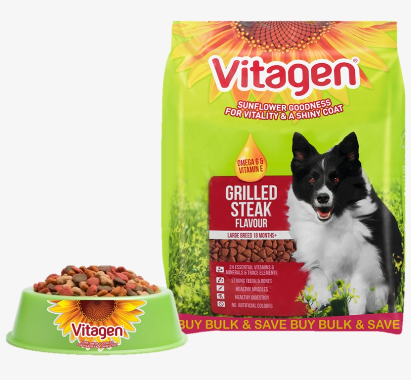 Food And Bowl - Cat Food In Bowl, transparent png #1907267