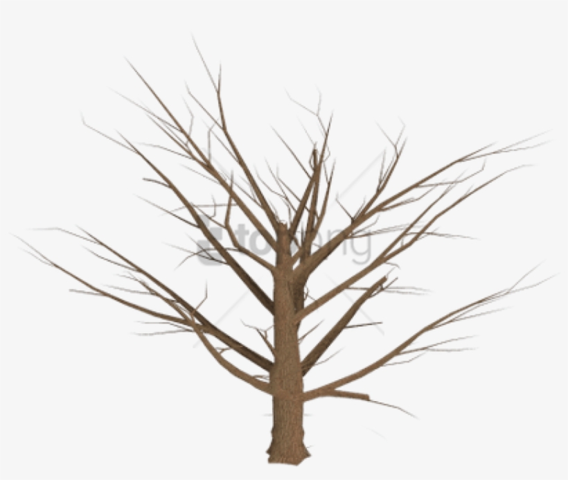 Grasses Drawing Dead Grass - Dead Plqnts And Clipart Transparent Background, transparent png #1907509