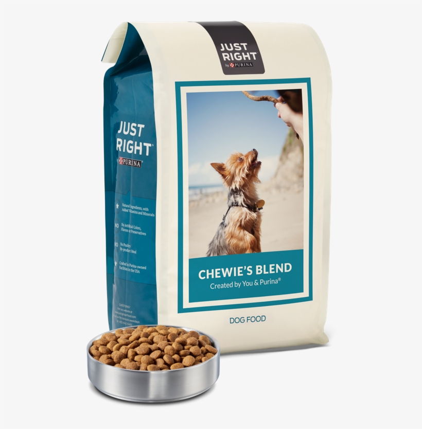 What's In The Box - Dog, transparent png #1907510