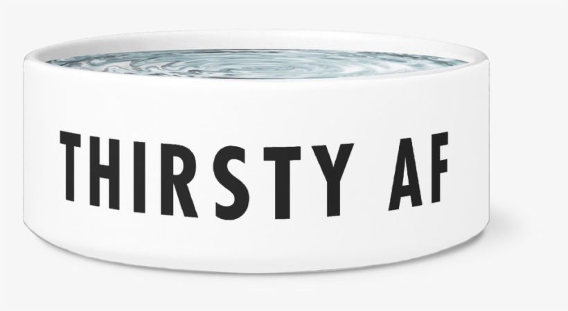 Hungry/thirsty Af Dog Bowl - I'm The Top Dog Novelty Dog Bowl, For Puppies And Adults, transparent png #1907647