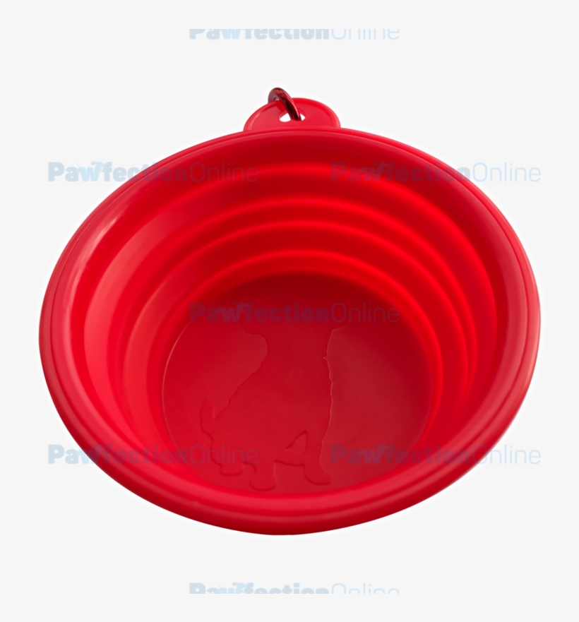 This Pet Travel Bowl Is Made From Durable Lightweight - Lid, transparent png #1907690