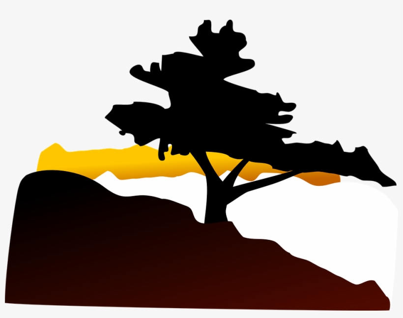 Small - Bonsai Tree Clip Art, transparent png #1907732