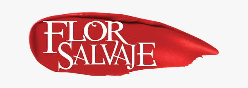 Marco - Logos De Telenovelas De Telemundo, transparent png #1908202