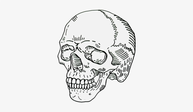 Pin By I D L E W I F E On Scrolling Inspiration - Skull Transparent, transparent png #1908730
