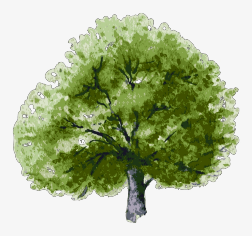 Tree, transparent png #1909652