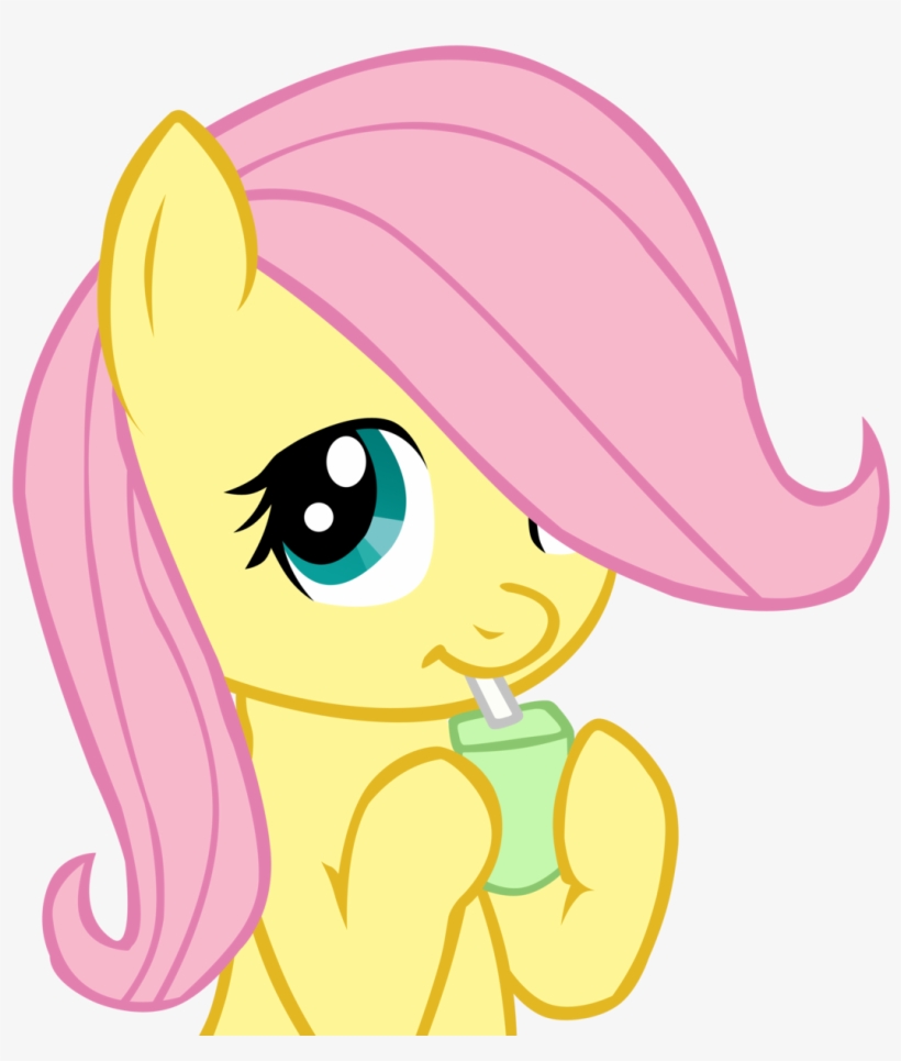 my little pony fluttershy rainbow dash