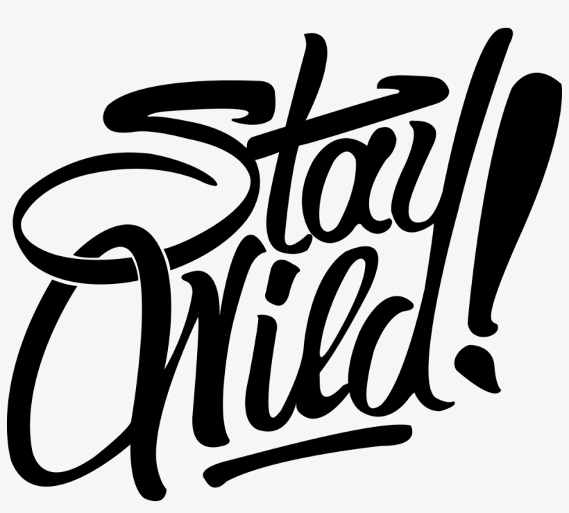 Picture Transparent Stock Graphic Design Calligraphy - Diseños De Letras, transparent png #1910498