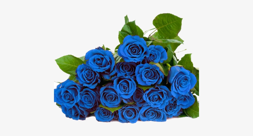 Blue Roses Png Blue Roses Png Hd Free Transparent Png Download