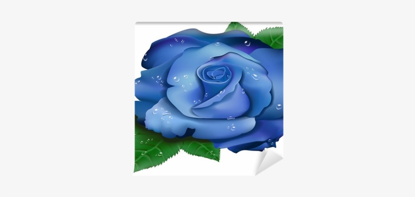 Hd Beautiful Blue Rose, transparent png #1912394