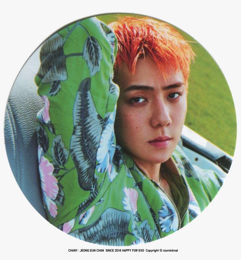 170907 'power' Merchandise Credit - Exo Sehun Head Transparent, transparent png #1914121