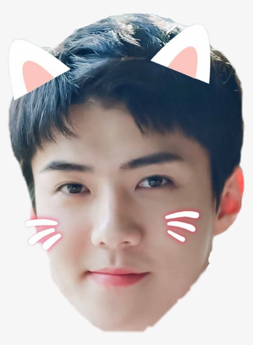 Sehun Exo Cute Oohsehun Sticker Linh Ling Png Exo Sehun Sehun