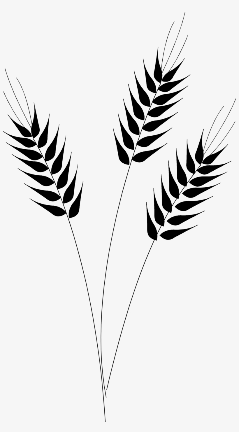 Wheat Vector Clip Art - Wheat Clip Art Png, transparent png #1914428