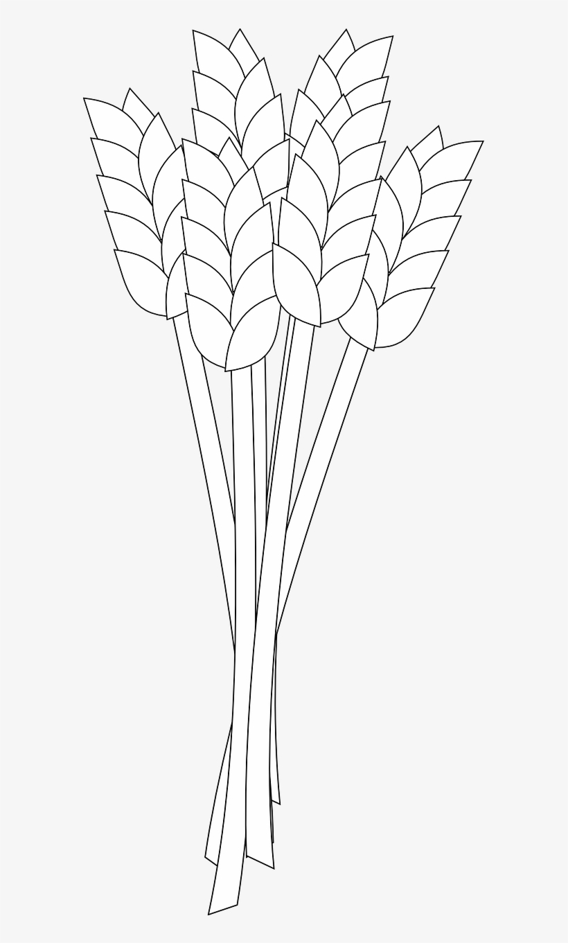 Vector Graphics, - White Wheat Png, transparent png #1914511