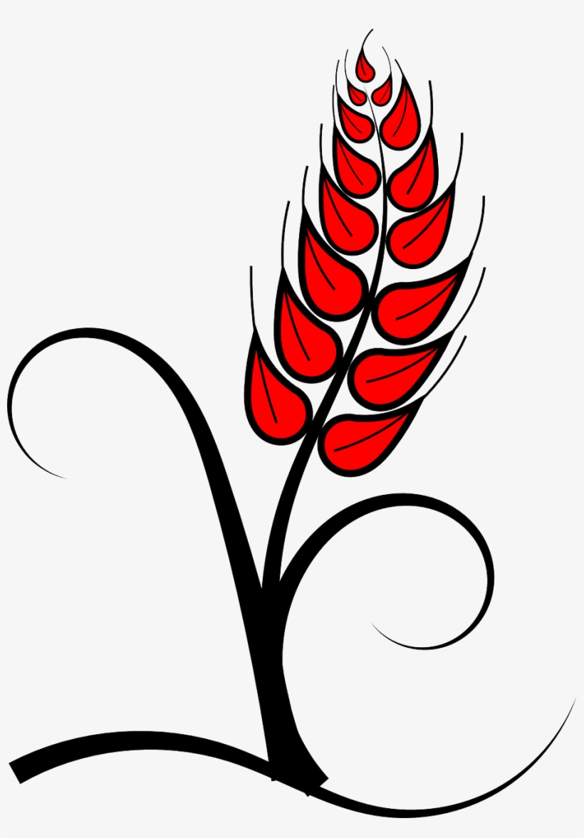 Grain Clipart Vector - Holy Communion Png, transparent png #1914563