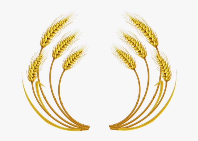 Free Download Wheat Vector Clipart Wheat Clip Art - Wheat Vector, transparent png #1914878