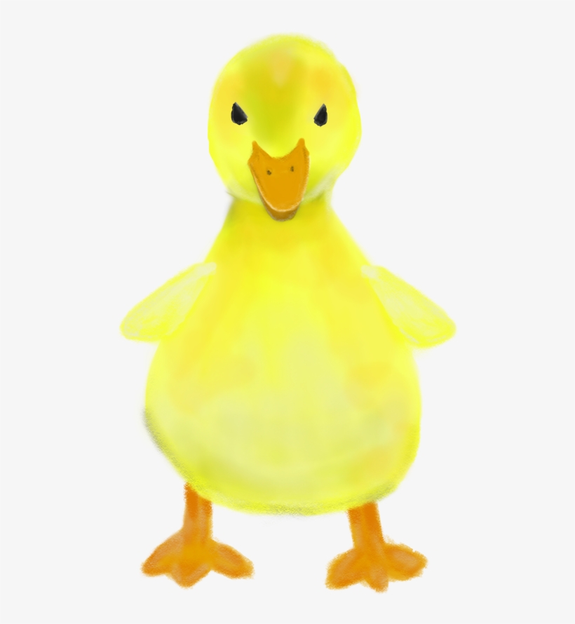 Duck source