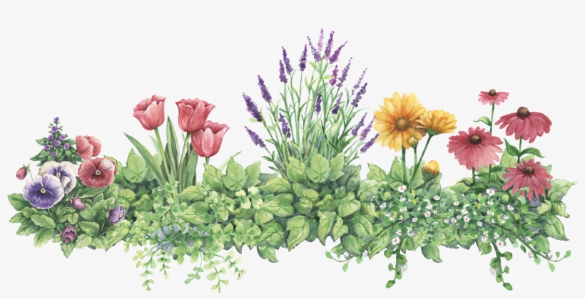 Gj Flower Border Clipart, Pictures To Draw, Watercolor - Lavender Clip Art, transparent png #1917772