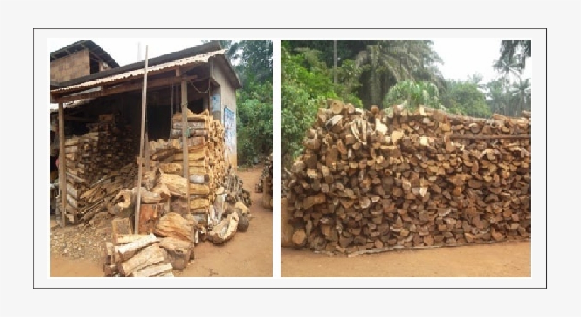 Woods Displayed For Sale - Sales, transparent png #1918889