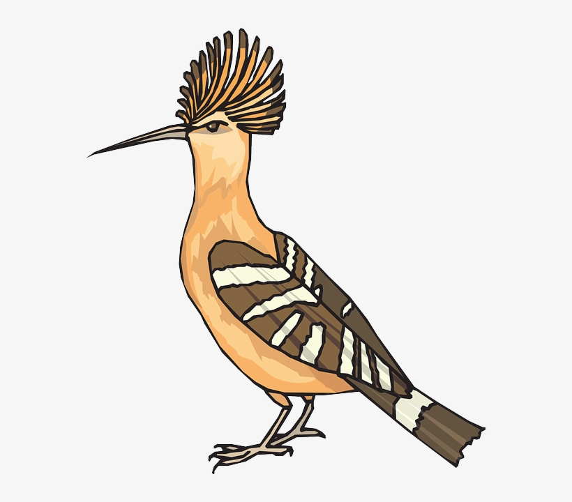 Bird Wings At Getdrawings Com Free For - Hoopoe Clipart Png, transparent png #1919157