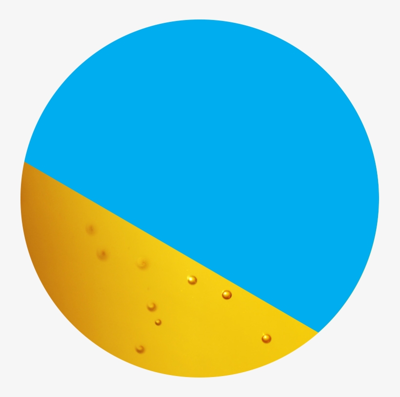 Roadrunner - Bluedot Festival, transparent png #1919273