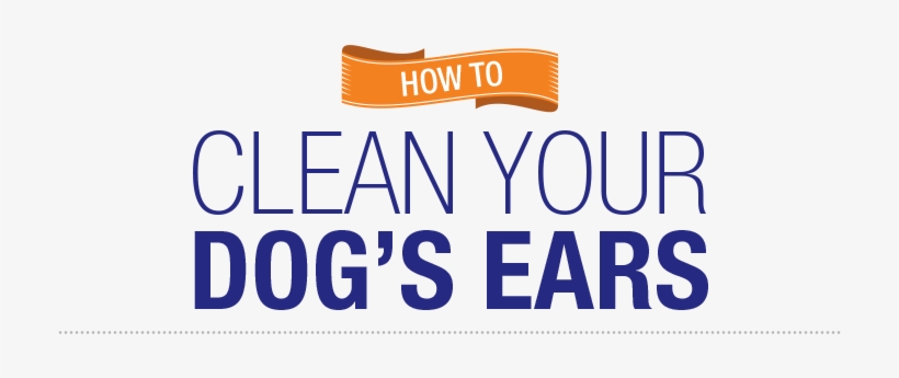 Ear Cleaning Is An Essential Part Of Your Dog's Basic - Electric Blue, transparent png #1919994