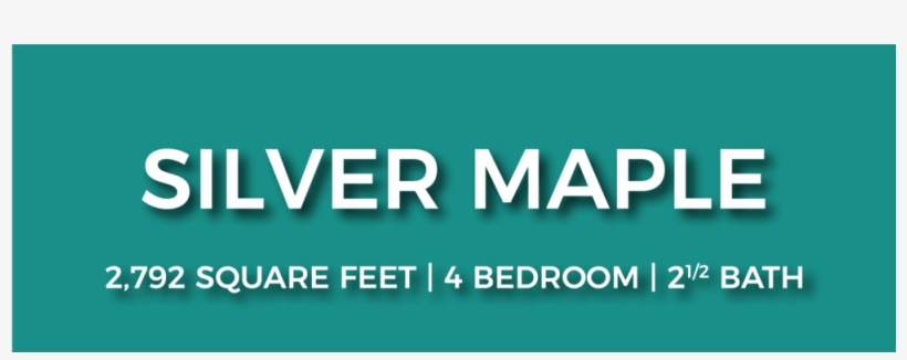 Silvermaple Nofp-01 - Portable Network Graphics, transparent png #1920019