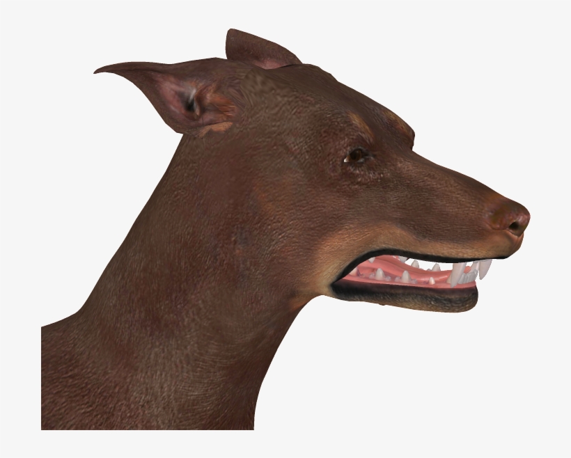 Rigged Ears - Portable Network Graphics, transparent png #1920214