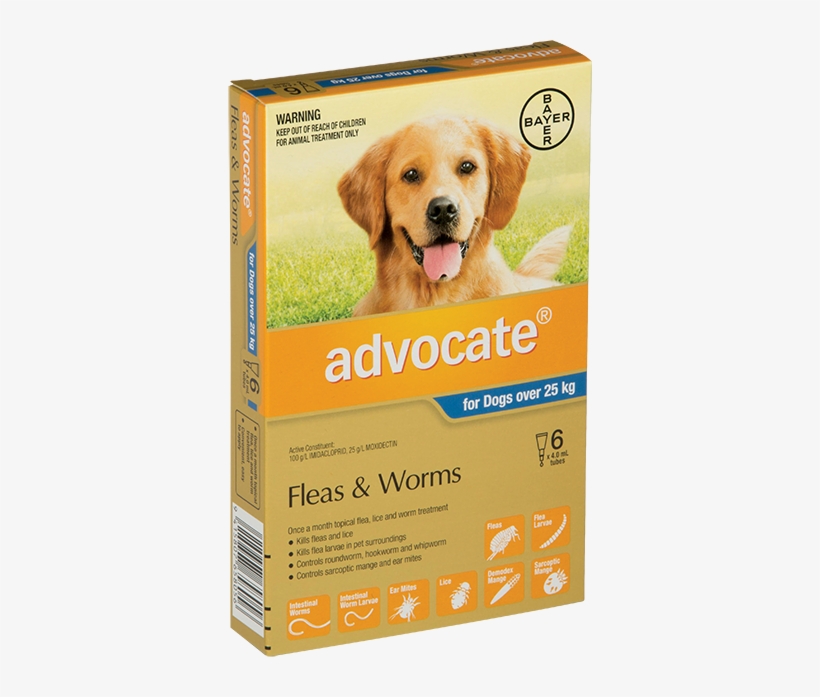 Advocate® Xl Dogs - Combined Dog Worm And Flea Treatment, transparent png #1920282