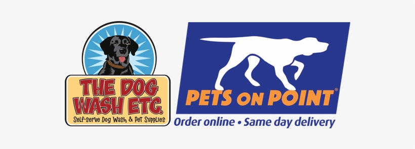 Home - Chicken, transparent png #1920542