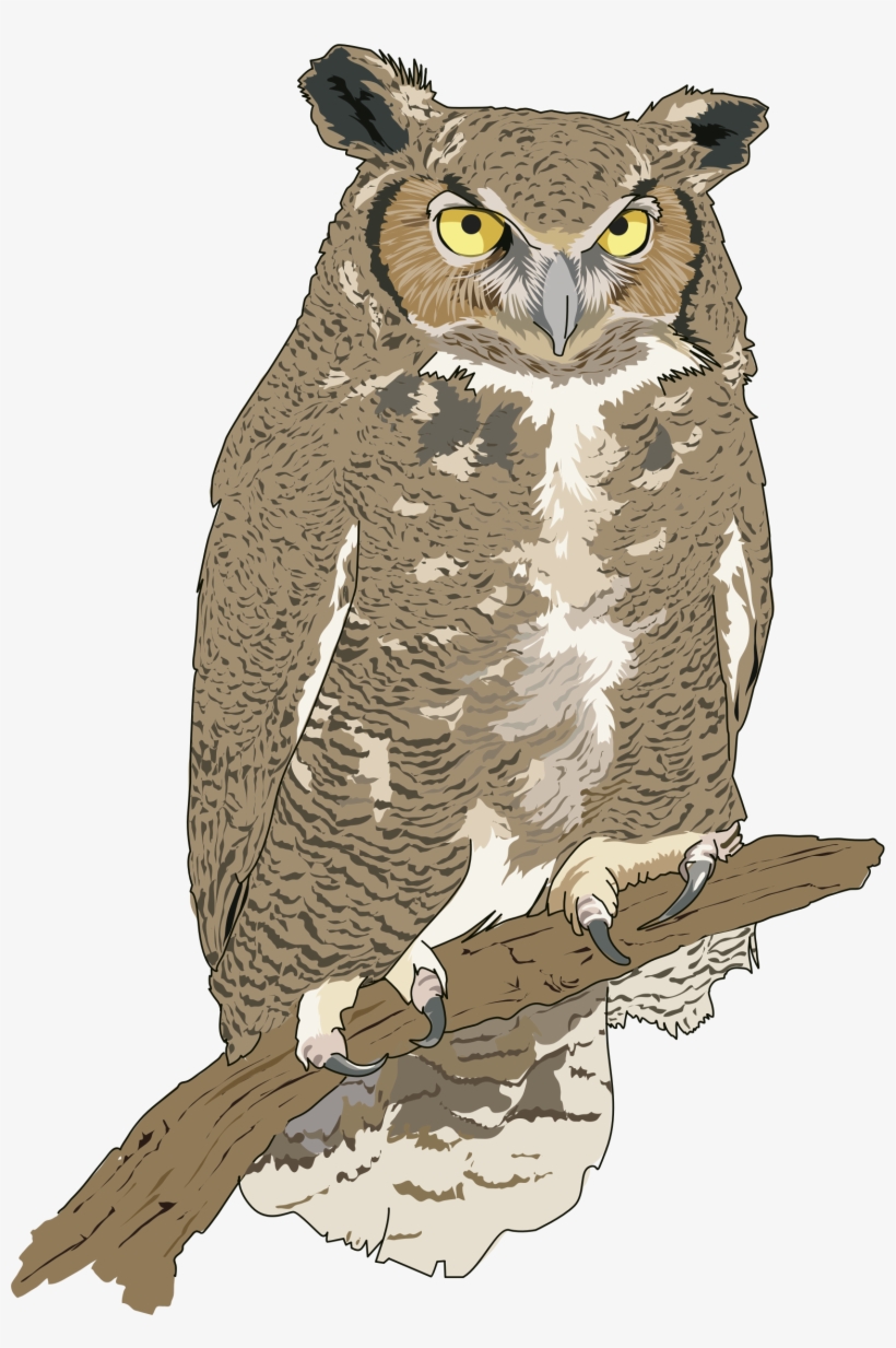 Cut Clipart - Realistic Owl Clip Art, transparent png #1920647