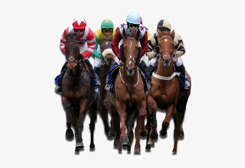 Horse Racing Betting Explained - Transparent Horse Race Png, transparent png #1921216