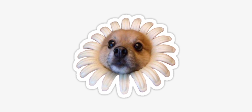 Flower Doggo" Stickers By Elise Vermeer - Flower Doggo, transparent png #1921709