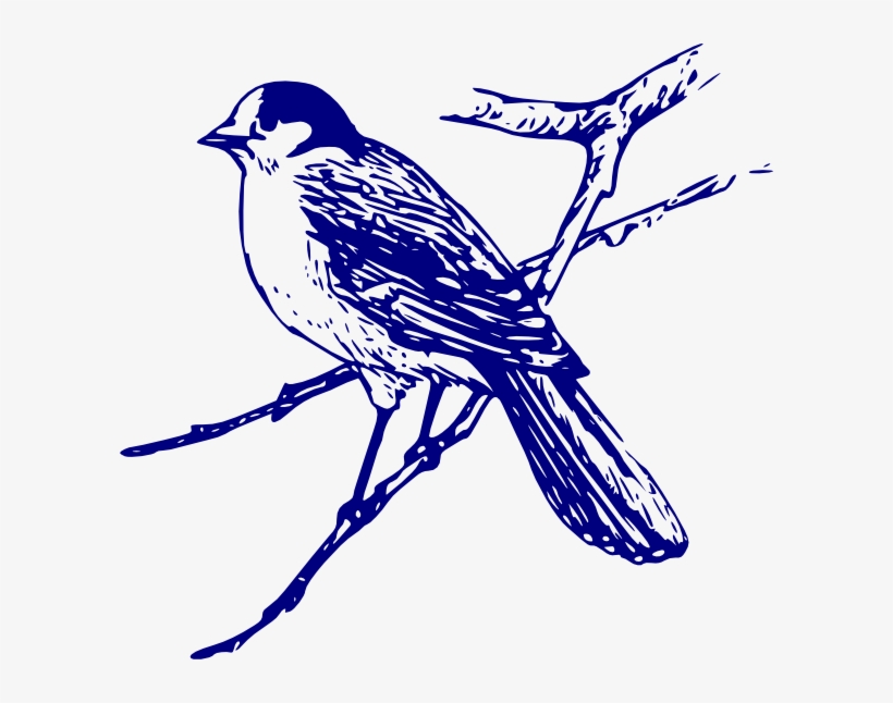 Blue Bird Png - Blue Bird Images Free, transparent png #1921712