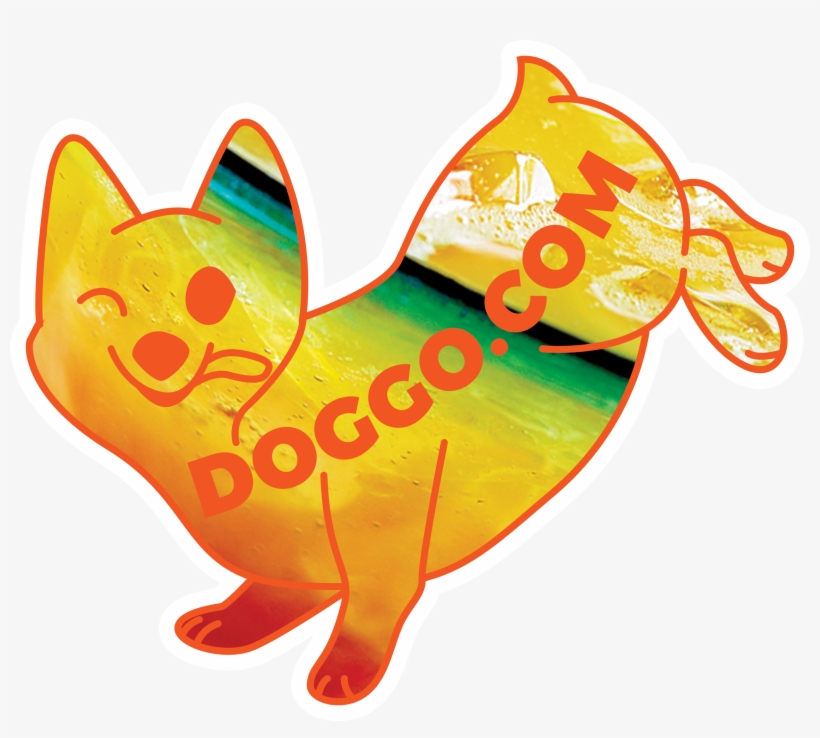 Cat, transparent png #1921774