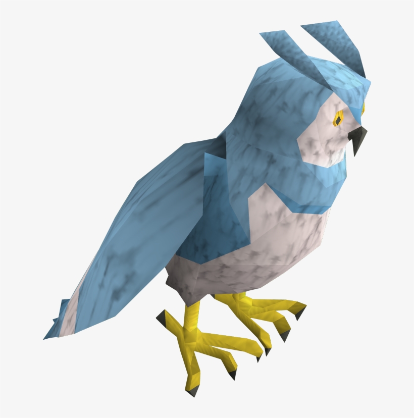 Pets Clipart Blue Bird - Runescape Owl, transparent png #1921775