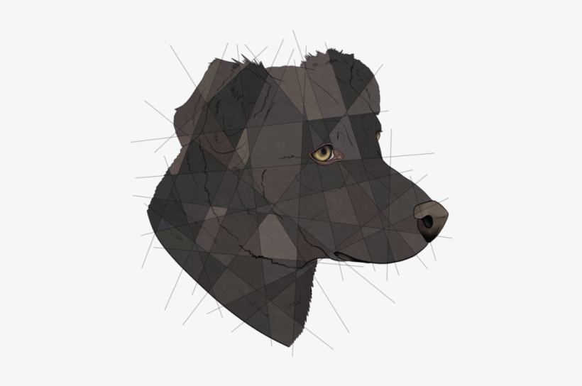 Dog Commission For @meandmoqui - Dog, transparent png #1921795