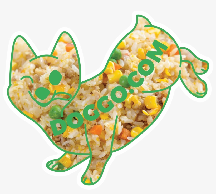 Typefaces - Cat, transparent png #1921904