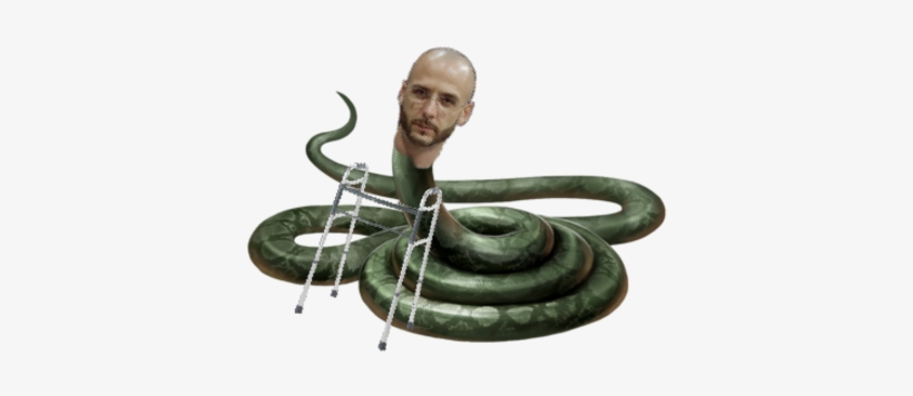 Image - Harry Potter Nagini Png, transparent png #1921935