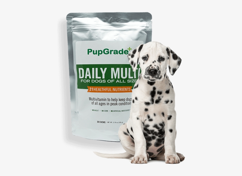 Dog And Pupgrade Multi - Dalmatian Dog, transparent png #1922360