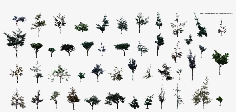 Hjm Small Trees Sideview Alpha - Tree Png Side View, transparent png #1924796